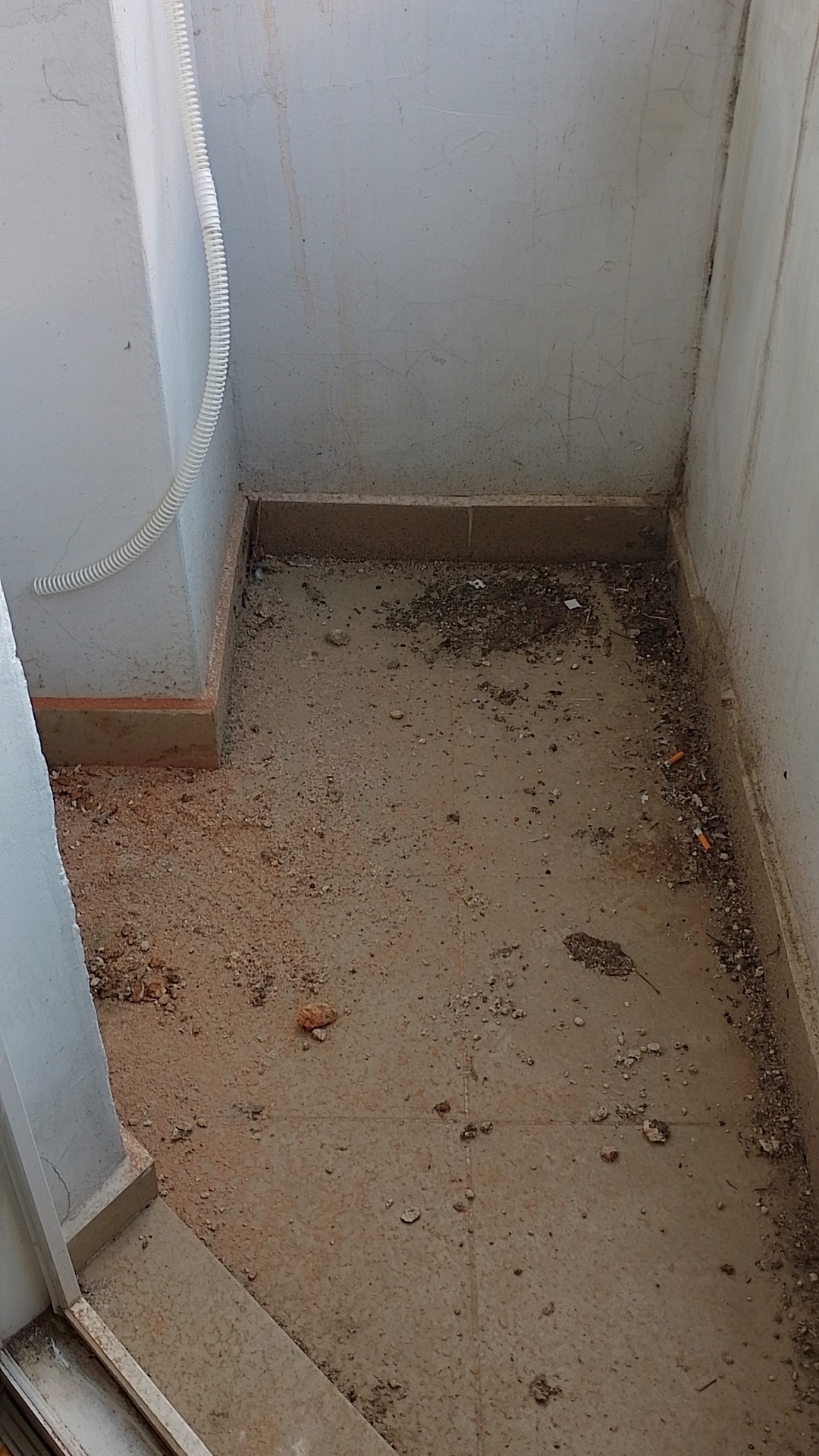 Before photo for Основно почистване