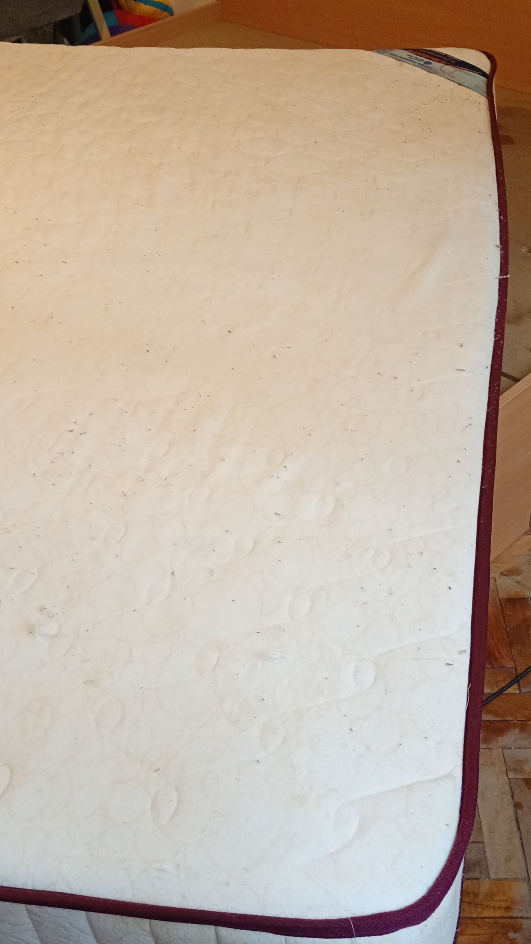 After photo for Пране на мека мебел