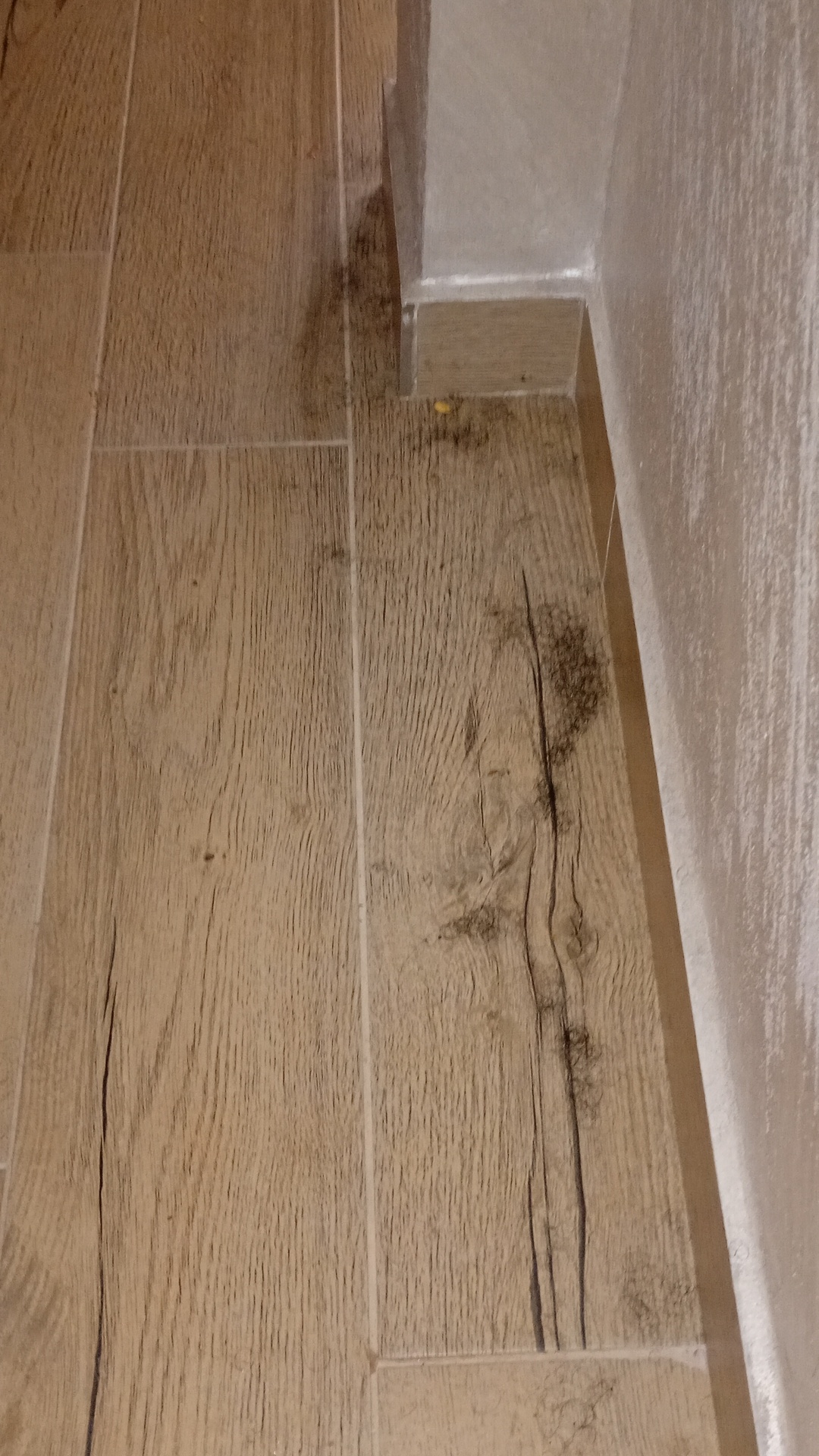 Before photo for Почистване след наематели