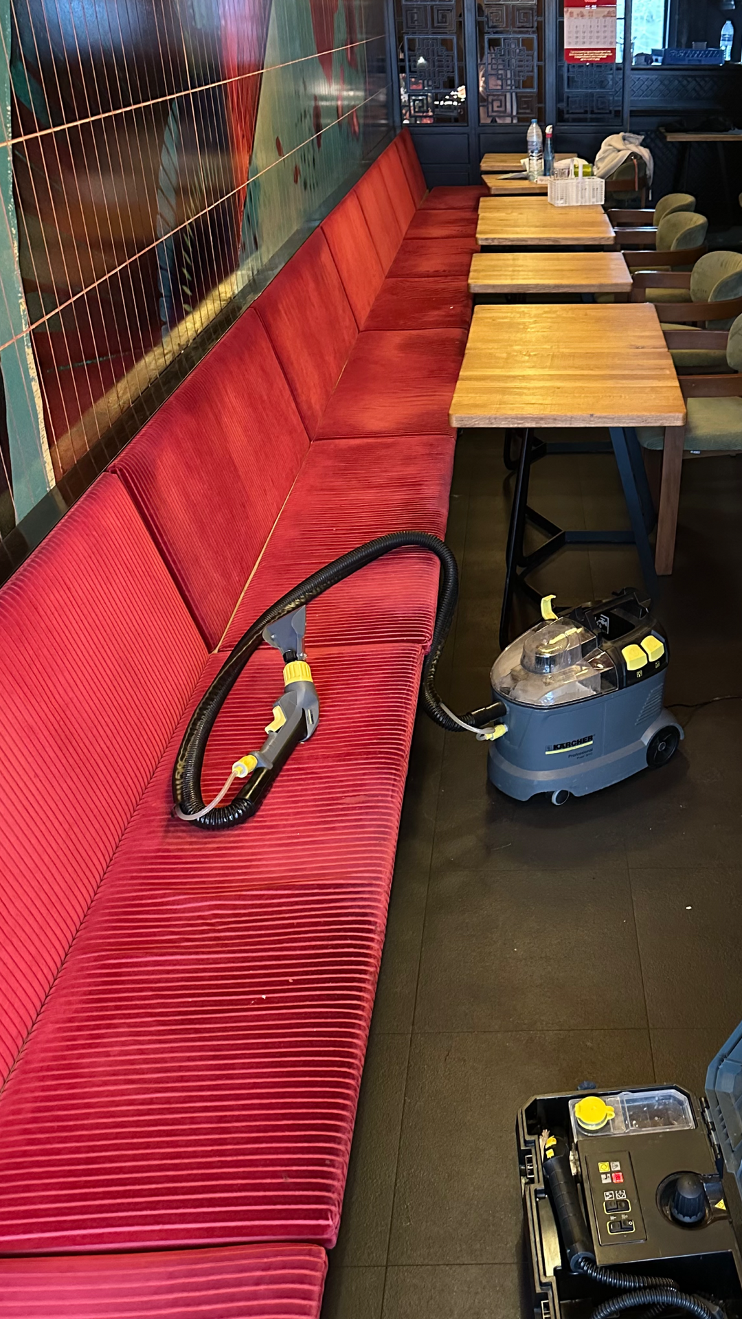 Before photo for Upholstery Cleaning