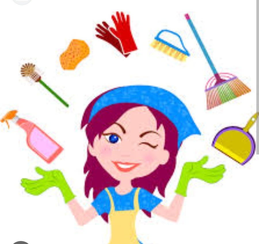 Diana Clean professional  logo